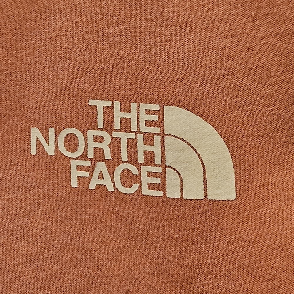 Women's The North Face Box NSE Pullover Hoodie Light Mahogany (Peach) - Size L - Picture 8 of 10
